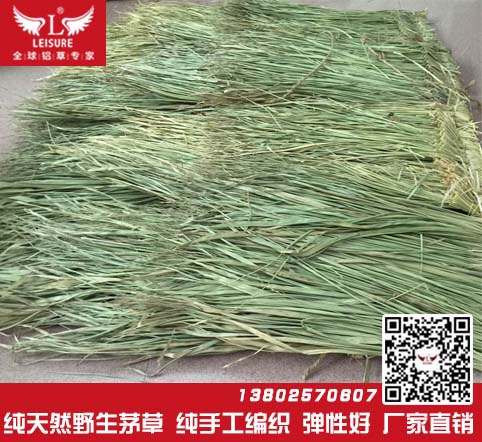 真茅草/天然茅草效果圖